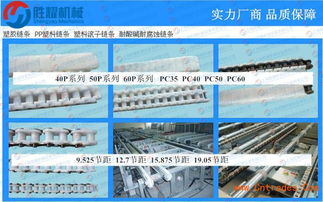 漯河刮泥機塑料鏈條廠家直銷如何在上海通過互聯網實現銷售突圍